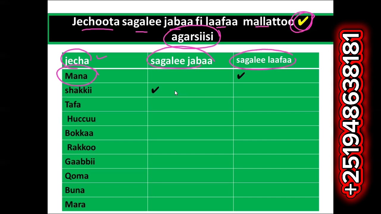 Barnoota Afaan Oromoo#GILGAALA 2#