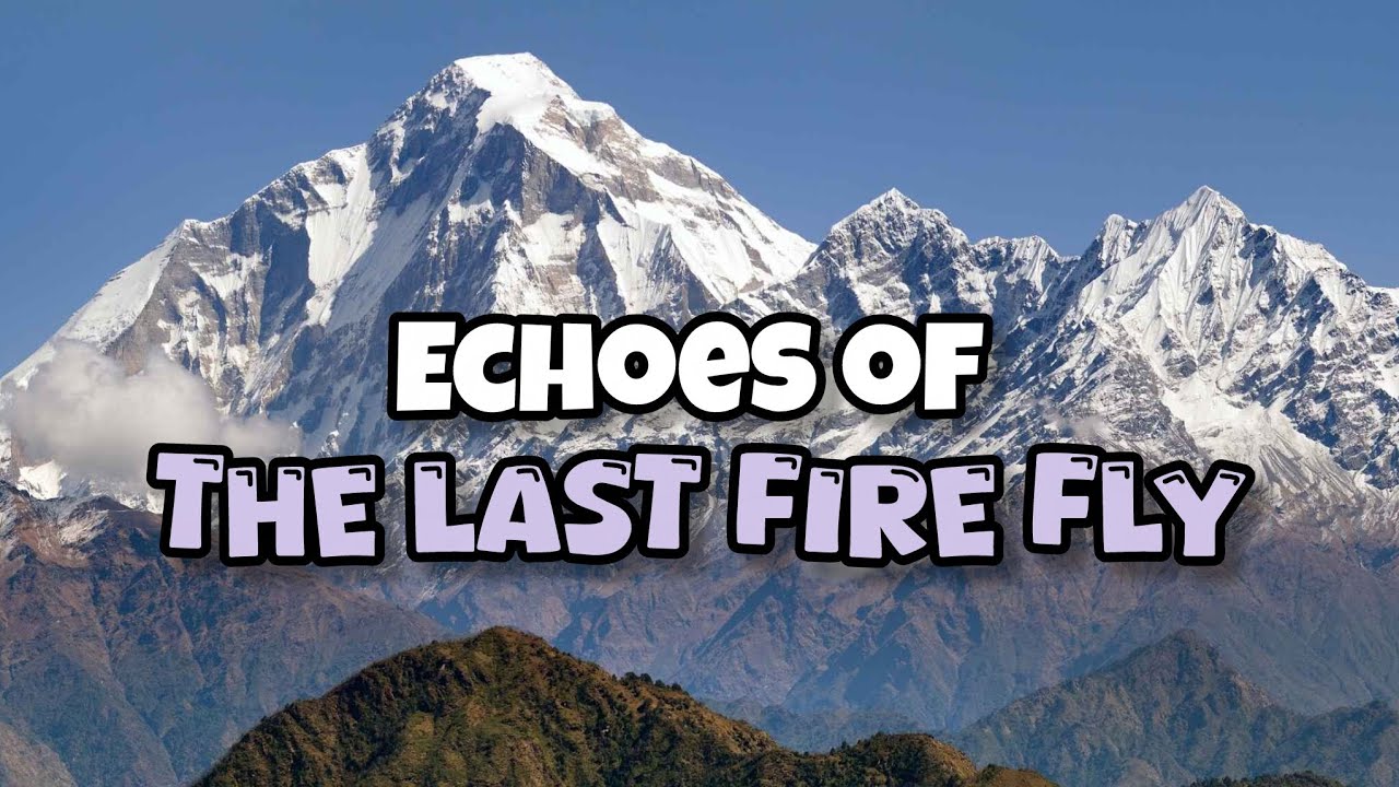 Echoes of the Last Firefly (Official Audio) | HADI MODI RECORDS