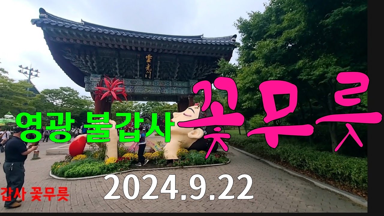 [영광 불갑사] # 또 왔습니다🌸  개화 상태 50%~80%