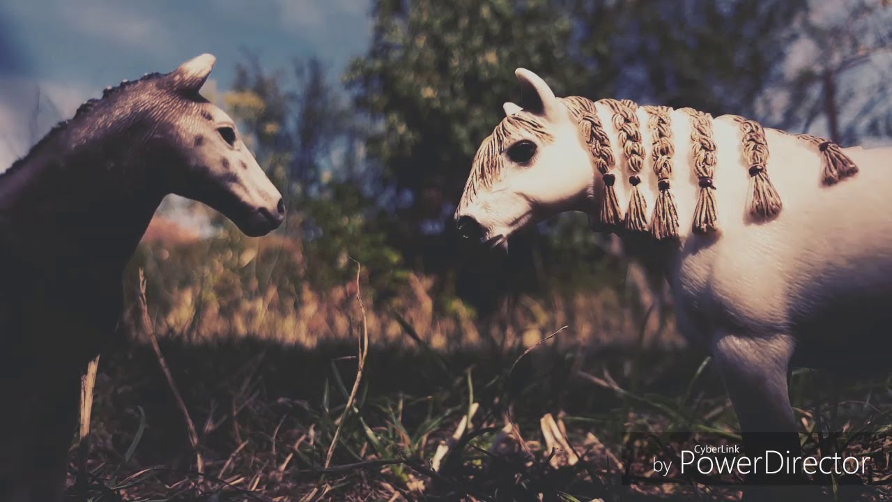 Un début difficile,une vie un défi...[Histoire Schleich]