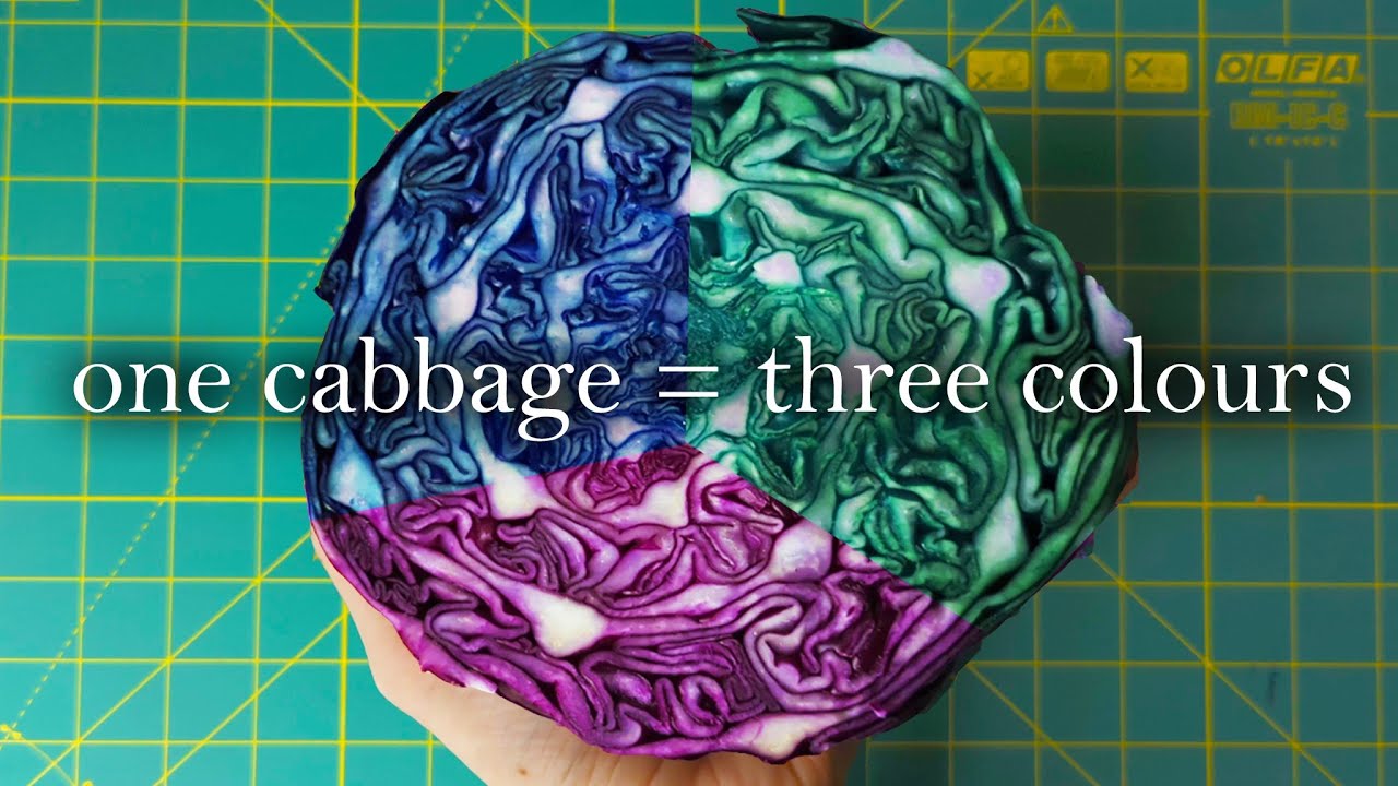 Natural Dyeing with Red Cabbage | Making the most of this surprising vegetable