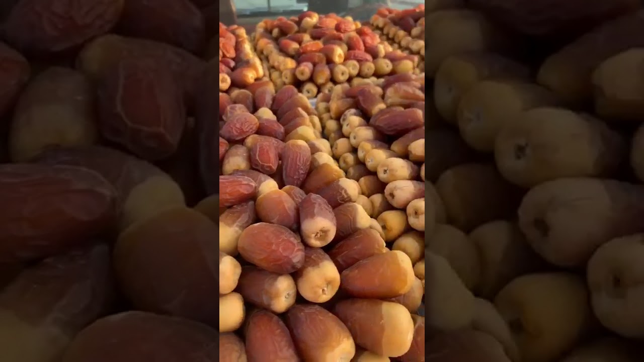 تمر الصقعي والمجدول.