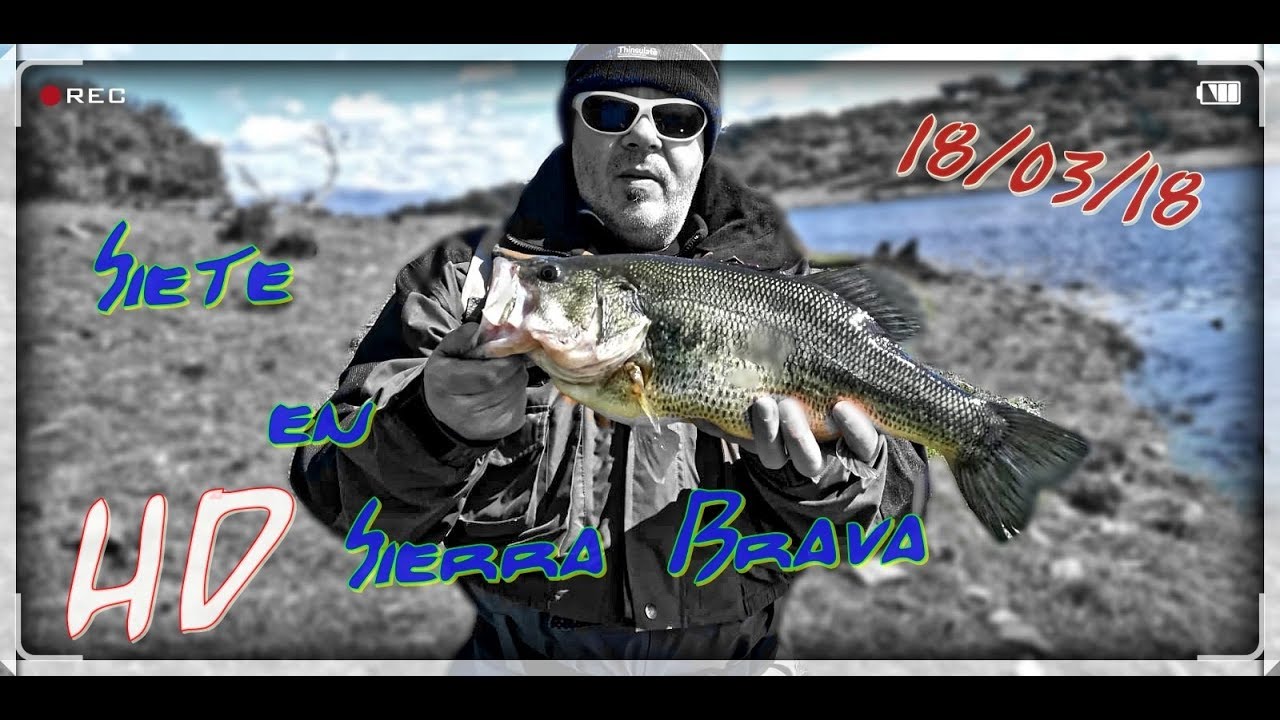 Pesca de Black Bass en Sierra Brava. Basses de Sierra Brava en Primavera