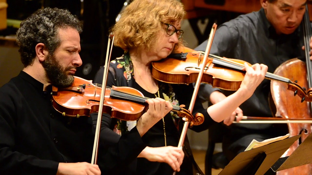 Michael Fine Chamber Symphony First Movement