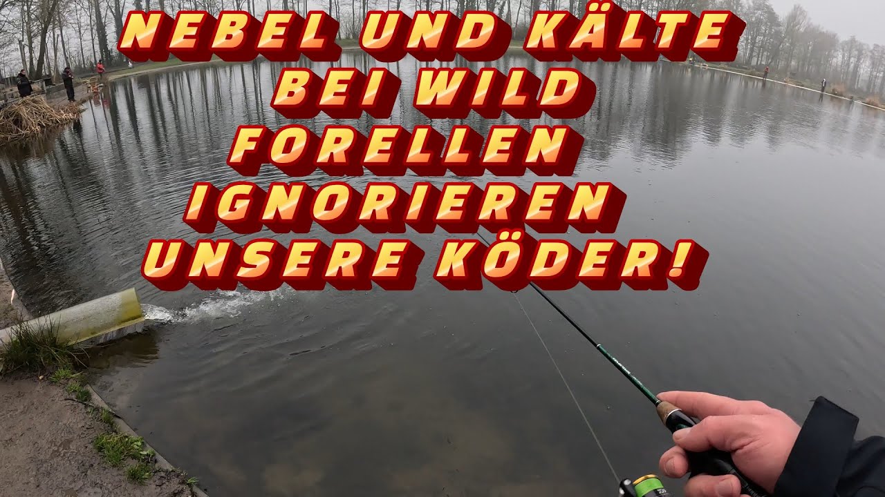 FORELLENANGELN BEI KÄLTE UND NEBEL!