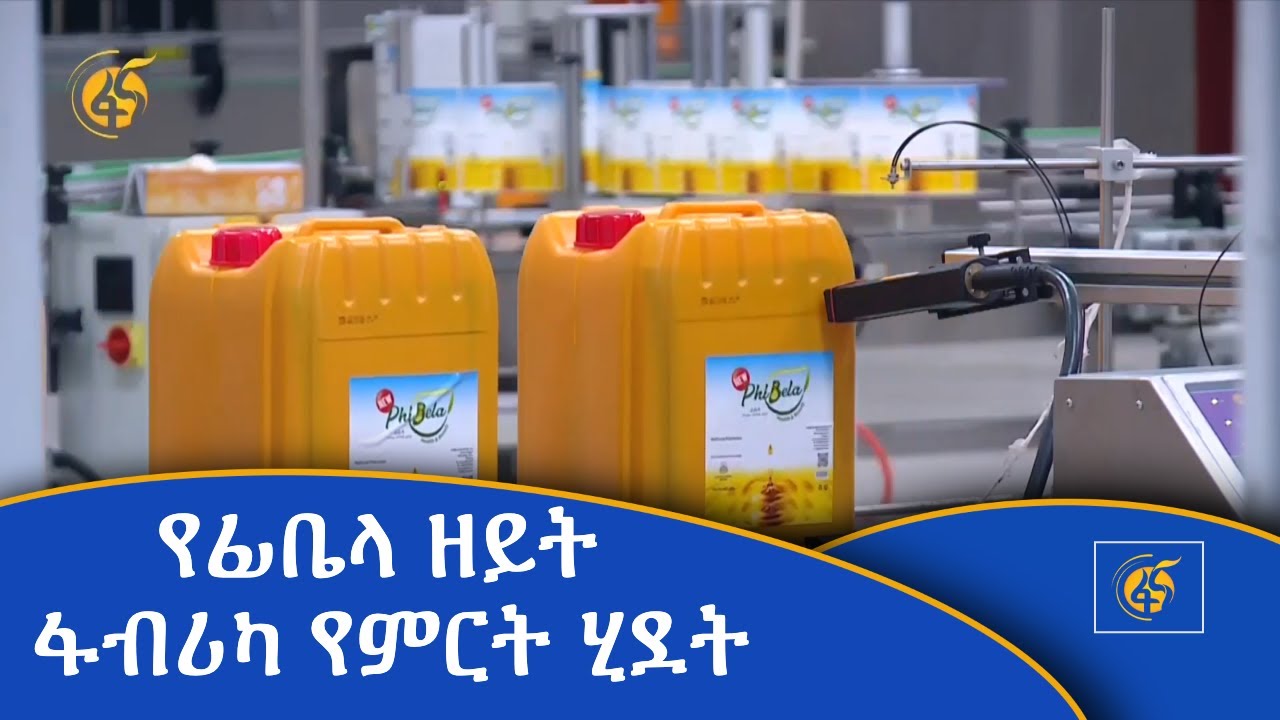 የፊቤላ  ዘይት ፋብሪካ የምርት ሂደት