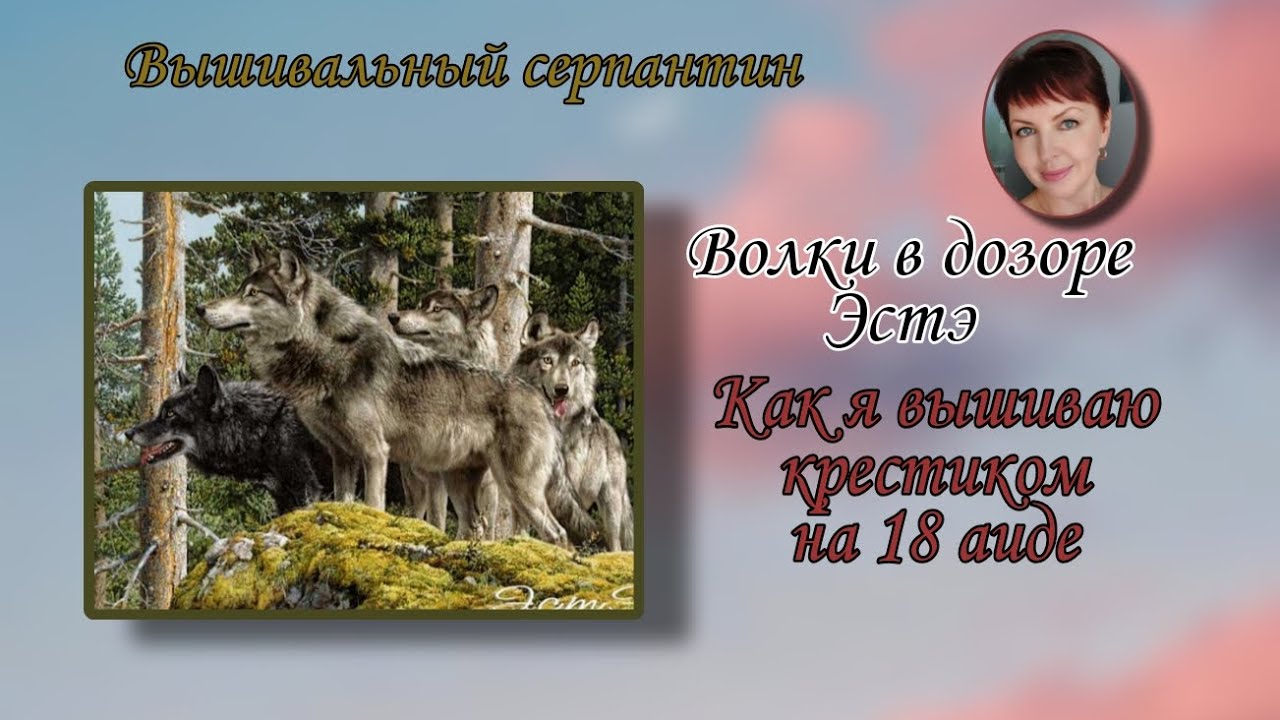 Как я вышиваю многоцветку крестиком на 18 аиде / Живой процесс вышивки/Котята