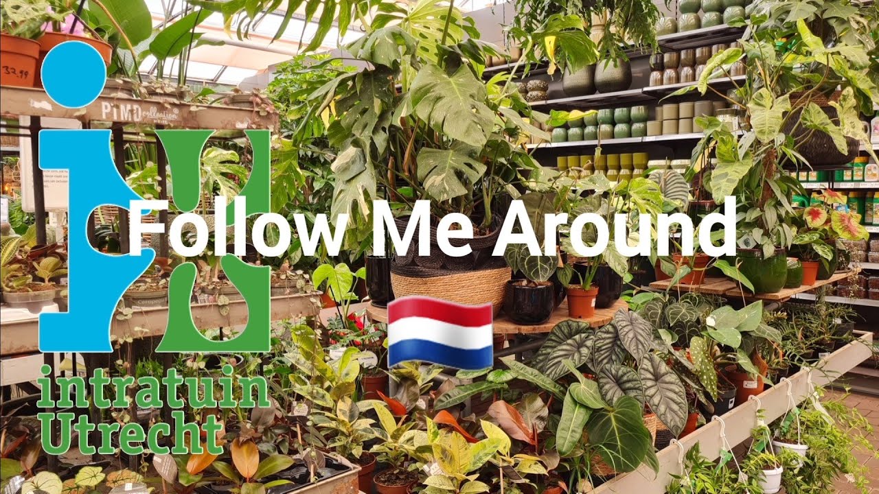 Follow Me Around ⭐️ | Intratuin Utrecht 🌱 | Niederlande 🇳🇱