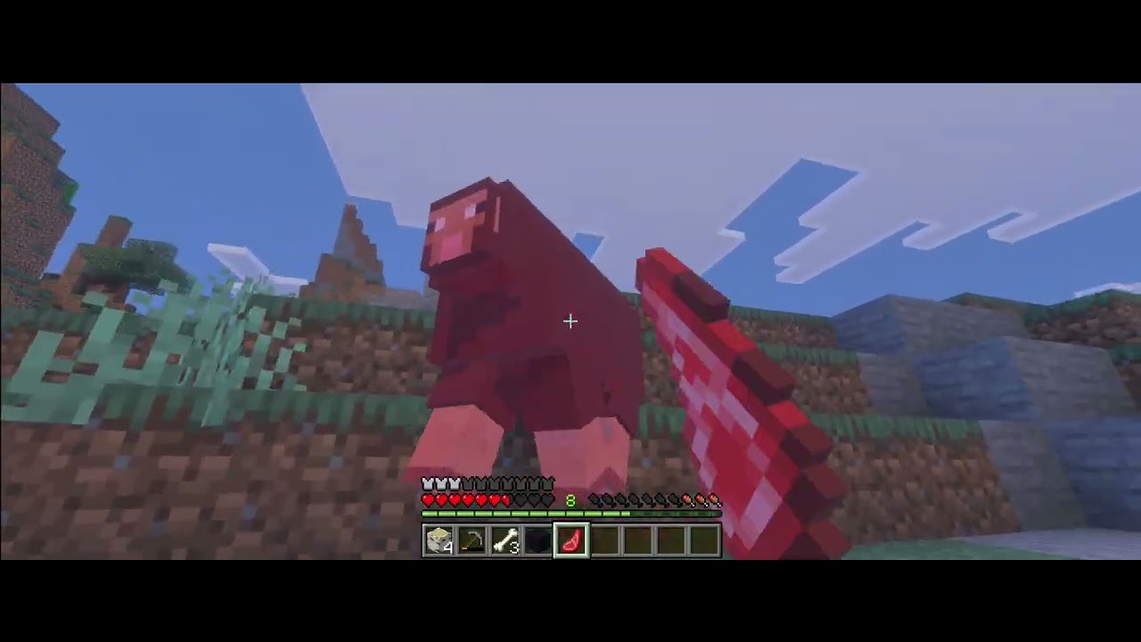 Minecraft