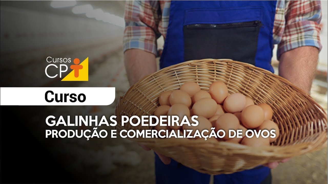 Galinhas Poedeiras - Produ&ccedil;&atilde;o e Comercializa&ccedil;&atilde;o de Ovos l Cursos CPT