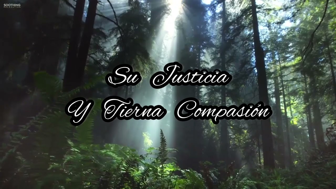 Creó en Dios / Steve Green