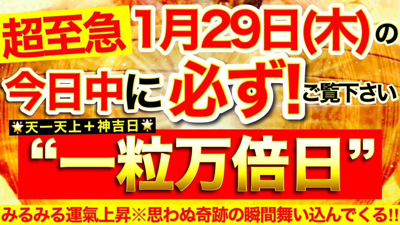 “一粒万倍日”の本日中に必ずご覧ください※【2026年1月29日(木)大大吉日】乱れた波動整いみるみる運氣上昇⭐️思わぬ嬉しい奇跡の瞬間舞い込んでくる！【見たあとなぜか奇跡が起こる高波動邪気祓い動画】
