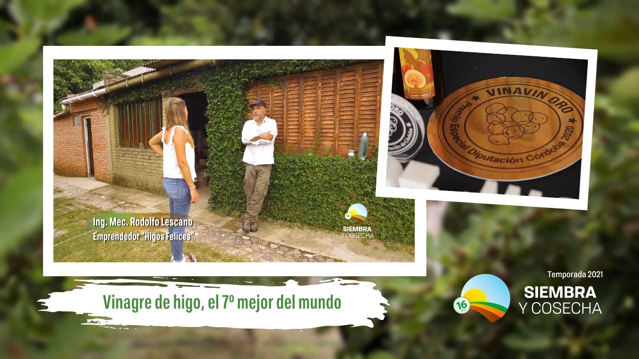 SIEMBRA Y COSECHA TV: Vinagre de higos