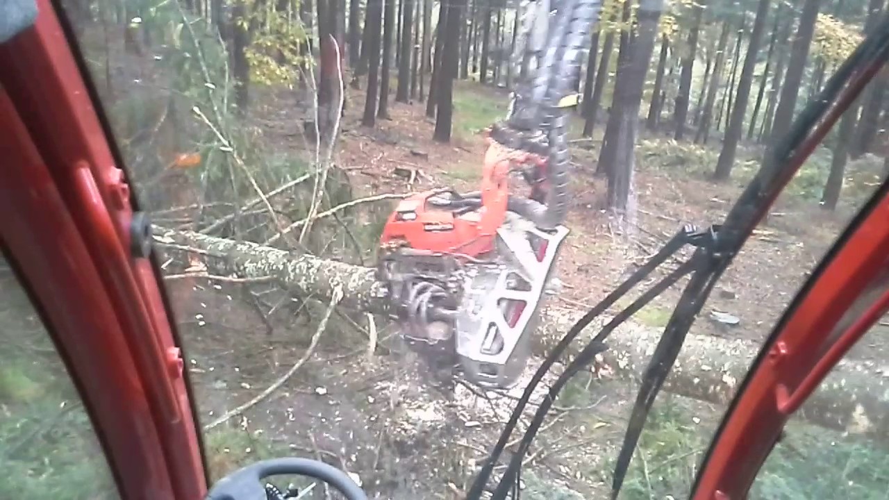 Komatsu 911.6 Cutting in Austria TOP Wood