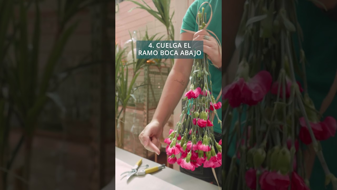 C&oacute;mo SECAR un RAMO de FLORES