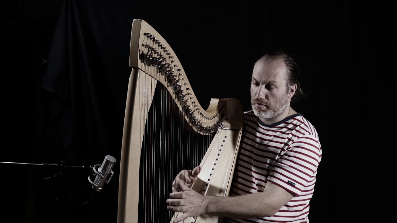 Dust in the Wind / Kansas harp cover : François Pernel