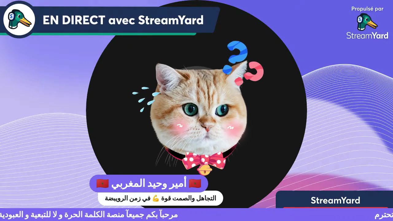 مجرمة مفتنة خائنة لوطن مدام ارشيف ها امير وحيد جمع ليك حب وتبن هادي هي حقيقة في دقيقة