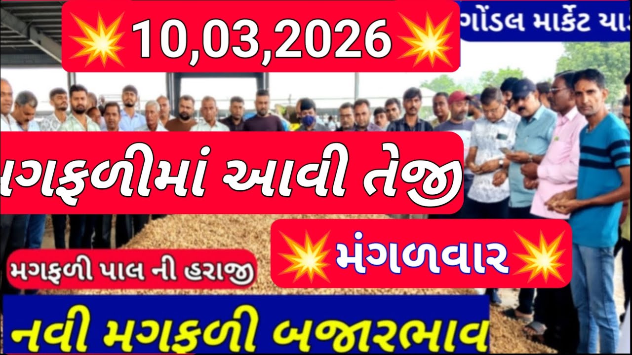 નવી મગફળીના બજાર ભાવ / નવી મગફળીના ભાવ આજના / ગોંડલ મગફળી ના ભાવ / 10,03,2026