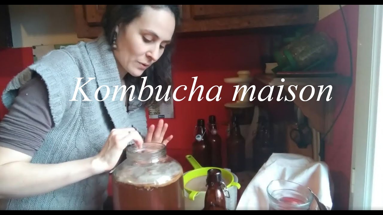 Comment faire son Kombucha Maison