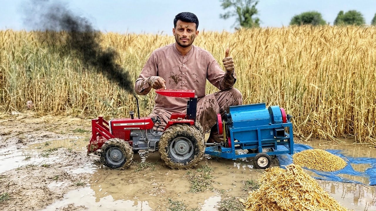 Most Realistic Handmade MF 385 Tractor & Thresher Machine Working