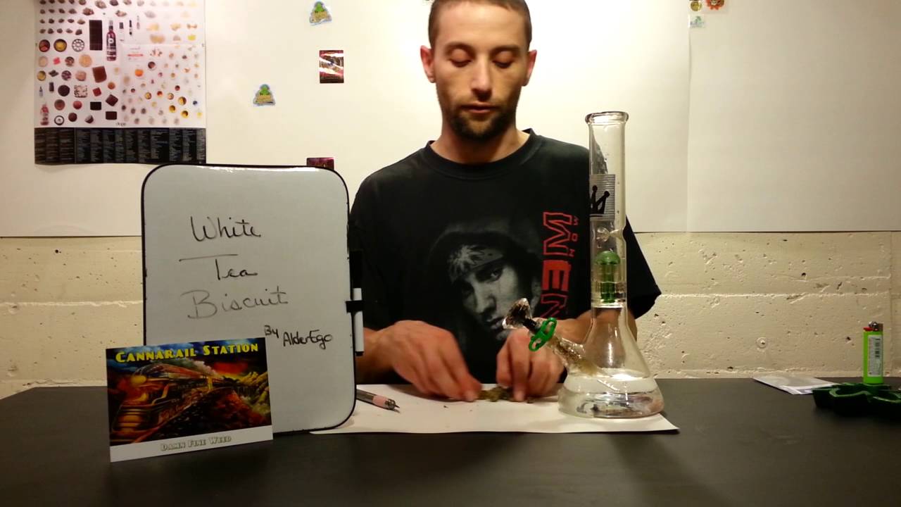 Strain Review White Tea Biscuit