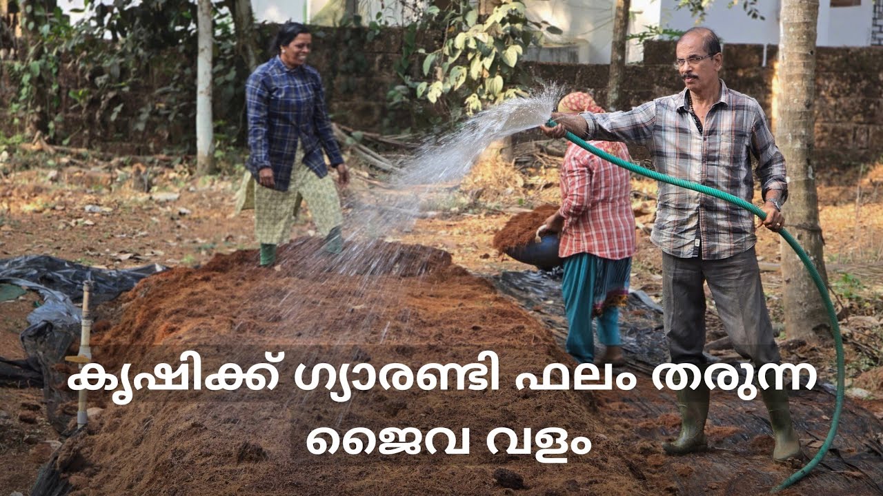 100% ഓർഗാനിക് വളം – വീട്ടിൽ തന്നെ😇