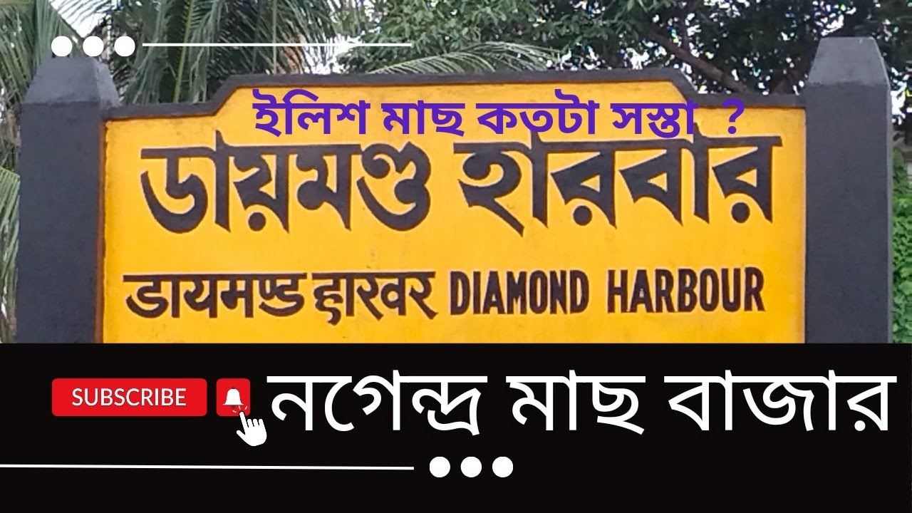 ডায়মণ্ড নগেন্দ্র মাছ বাজার l Diamond Harbour Nagendra Fish Market l#Sidharth Rajshekar#Rajib Talreja