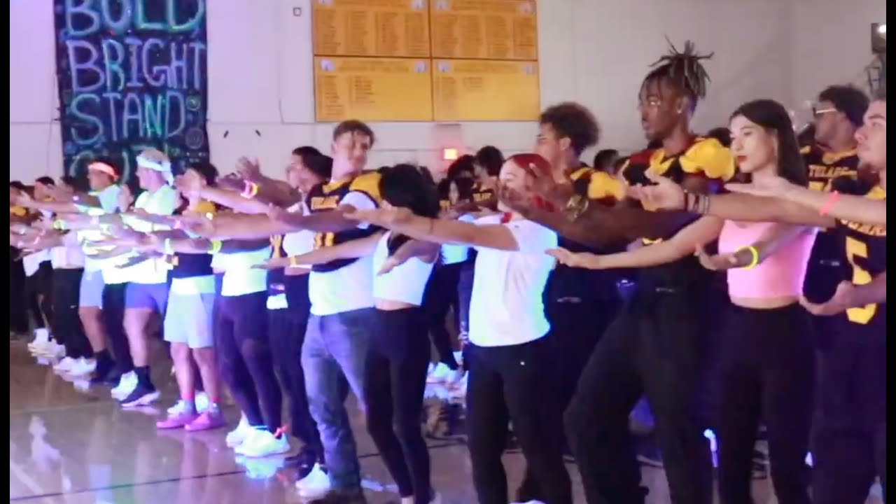 Tribe Vibe Introduction to the Campus Show - Season 3