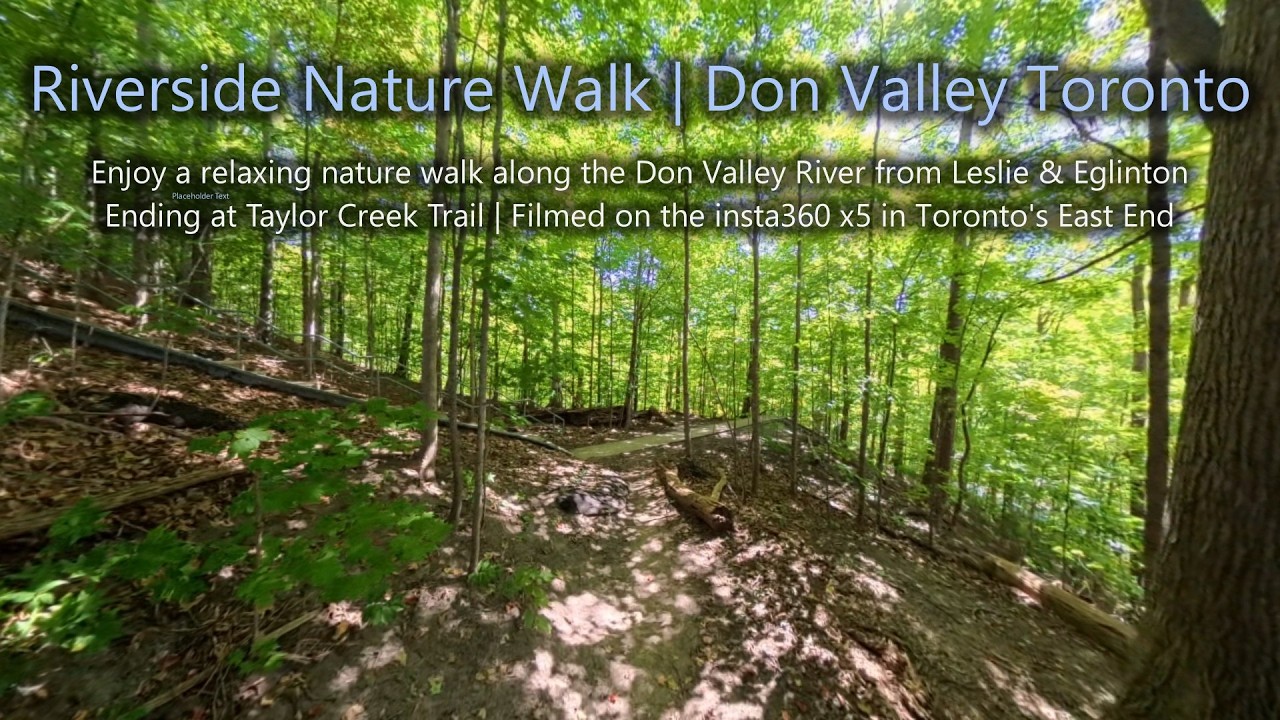 VR (360&deg;) Walk of the West Don River & Taylor Creek Trails | Toronto