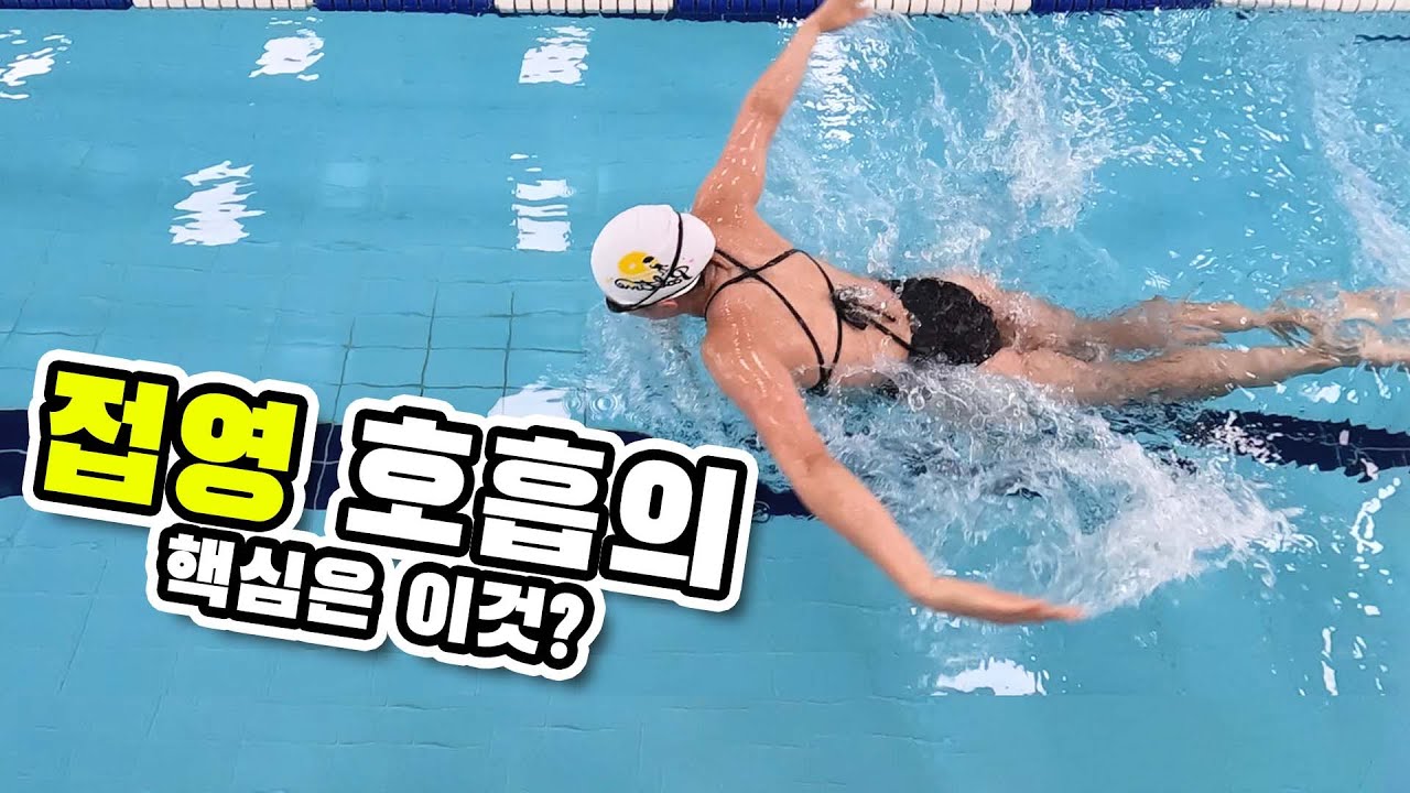 접영에 호흡에서 중요한 건? 타이밍? 물잡기?