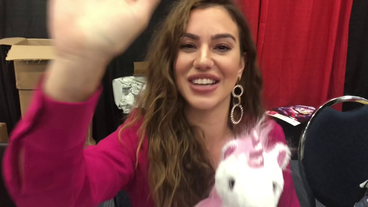 Power Morphicon 2018 (Ninja Steel Meet & Greet)
