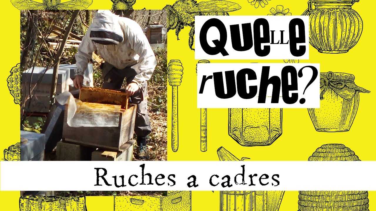 Quelle ruche choisir? #2 Les ruches à cadres et les nuclei