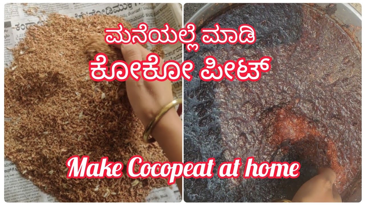 ಮನೆಯಲ್ಲೆ ಮಾಡಿ ಕೋಕೋ ಪೀಟ್ / Make Cocopeat at home #cocopeat 