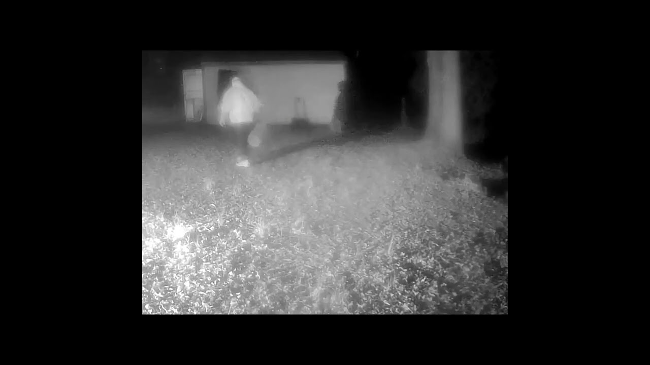 Deer Cam 1/23/26