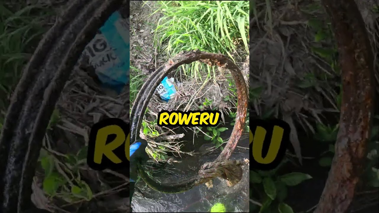 CO TO ZA KOŁO?  #magnesneodymowy #magnes #magnetarmagnets #rower #shorts #gopro