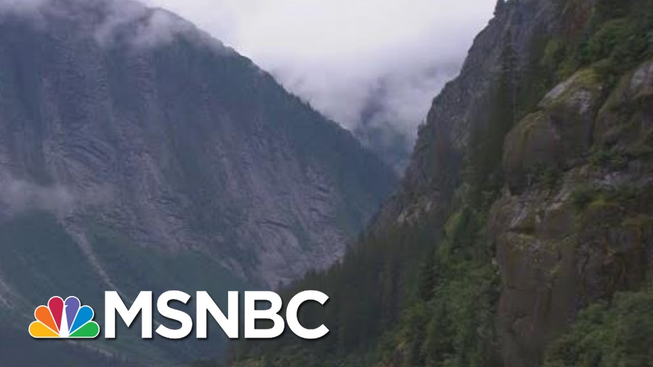 Trump Aims To Open Vital U.S. Forest To Logging, Drilling, Mining | Rachel Maddow | MSNBC