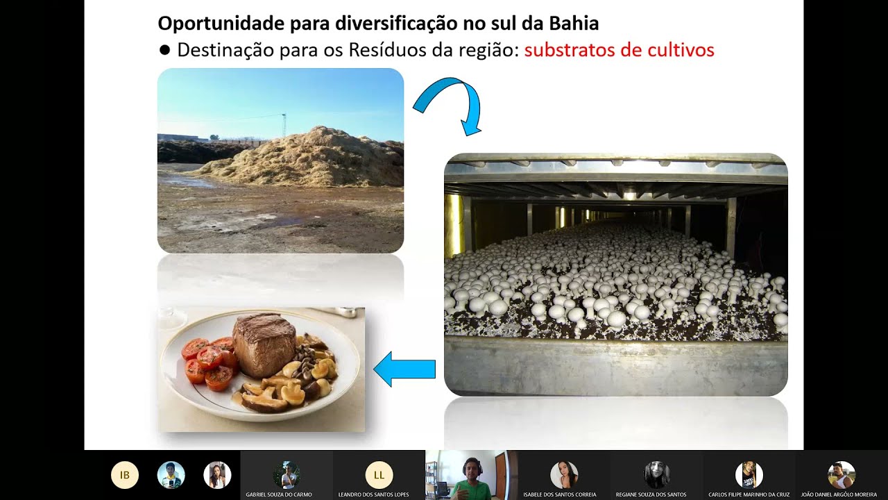 Estratégias para redução da poluição  ambiental utilizando Microrganismos