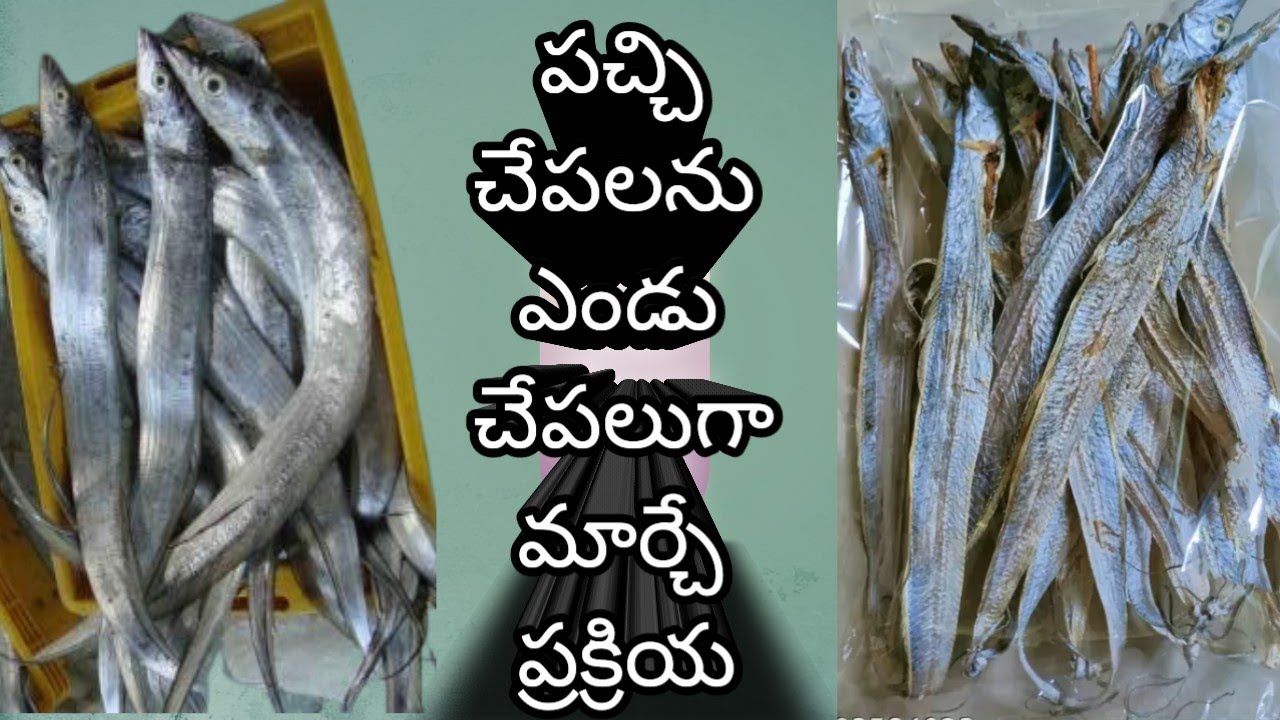 ఎండు చేపలు తినడం సులువే😱పచ్చి చేపలను ఎండబెట్టడం చాలా కష్టం😱😱