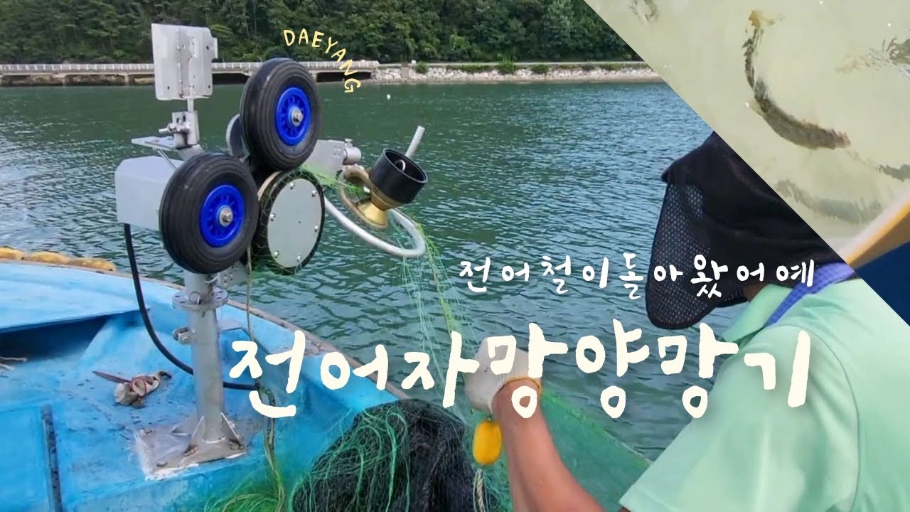 DC12V 자망 양망기 | 전기식 전어 자망  | 대양상사 (구 대동상사) | 경남 남해 | 양망기 전문 업체 | 수협중앙회 기자재계약 | 각종 지자체 및 귀어자금 가능