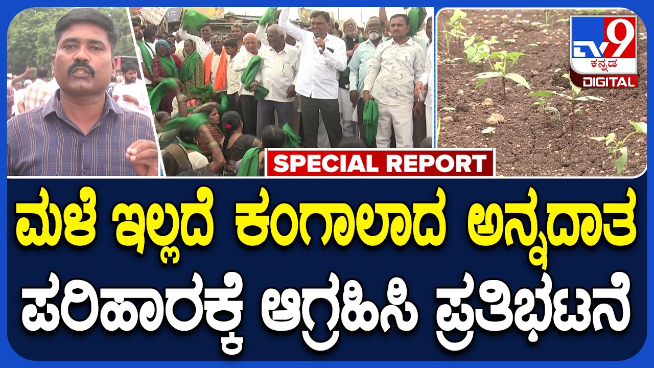 Farmers Protest in Bidar: ಹಾಕಿದ ಬೆಳೆ ಕೈಗೆ ಬಾರದೆ ಕಂಗಾಲಾದ ಅನ್ನದಾತ-ಬೀದಿಗಳಿದು ಪ್ರತಿಭಟನೆ|#TV9D