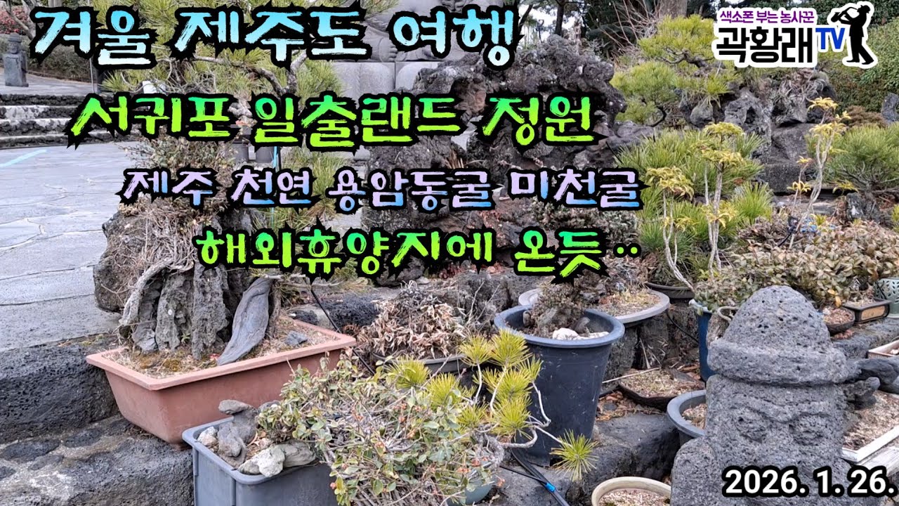 제주 서귀포 일출랜드 용암동굴  미천굴 마치 해외휴양지에 온듯   제주여행 제2탄 