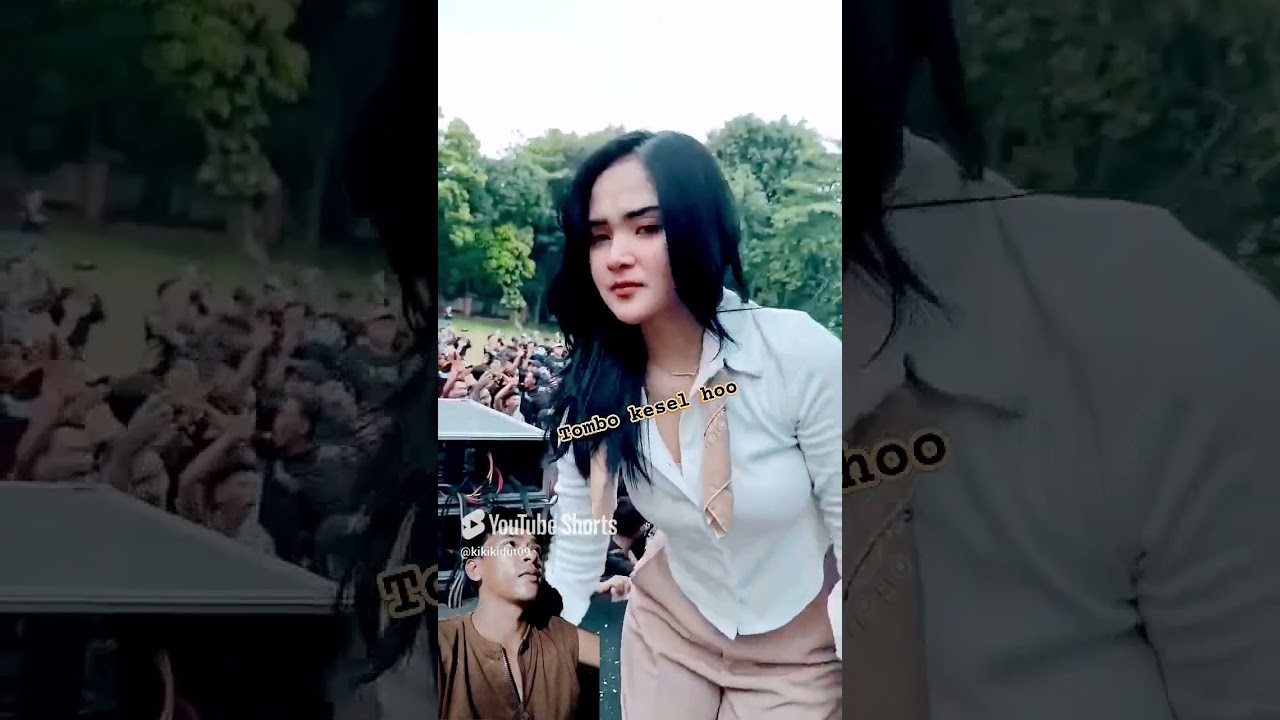 Simanis idaman 