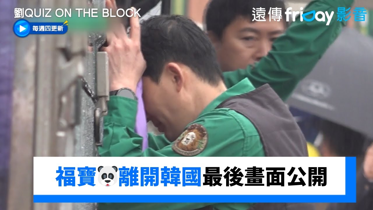 福寶🐼離開韓國畫面公開！飼養員不捨離別_《劉QUIZ ON THE BLOCK》第240集_friDay影音韓綜線上看