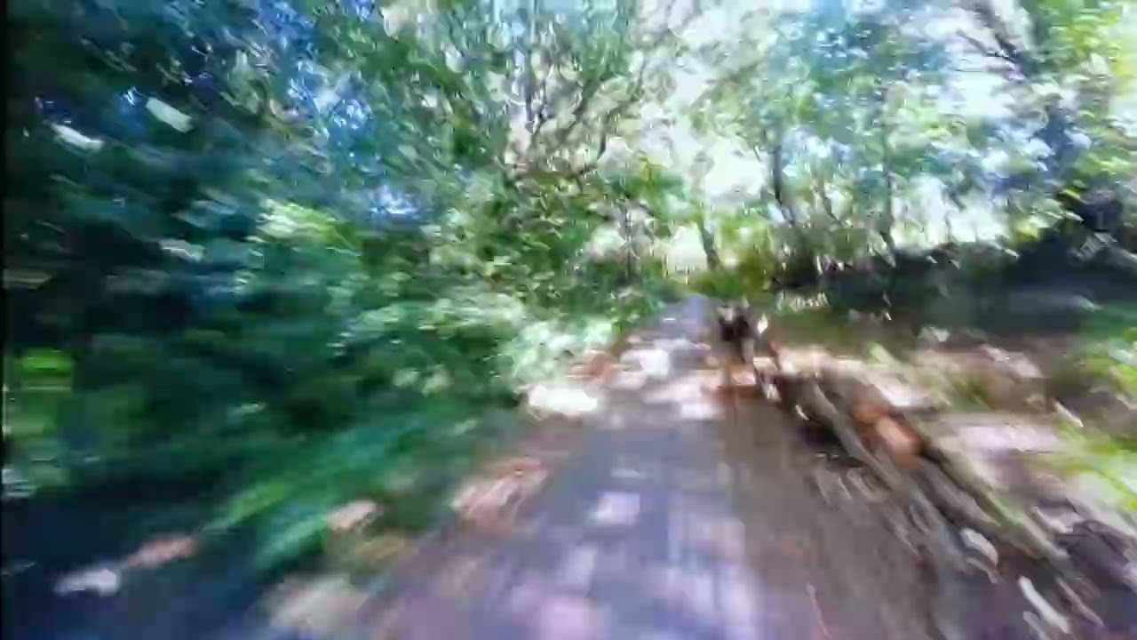1500w + Shunt Mod. Fat Tire Bike, 20x4 ,32.8ah (Fiido M1 PRO Upgraded)