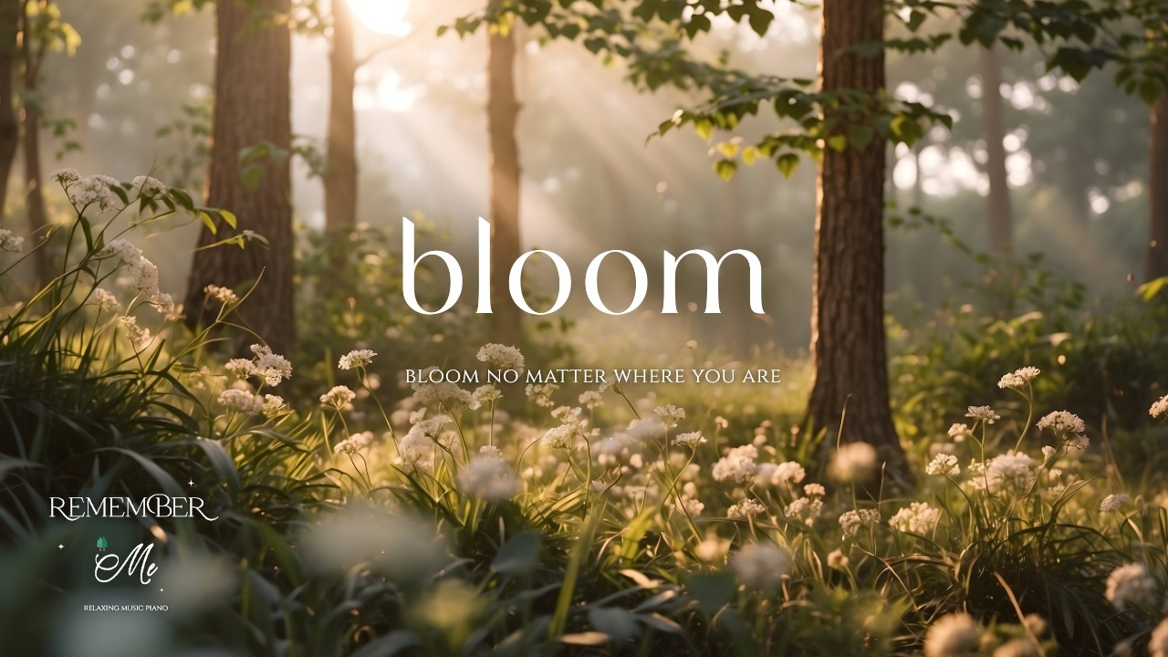 Bloom No Matter Where You Are 🌲🍃 Soft Piano for Overthinking at Night