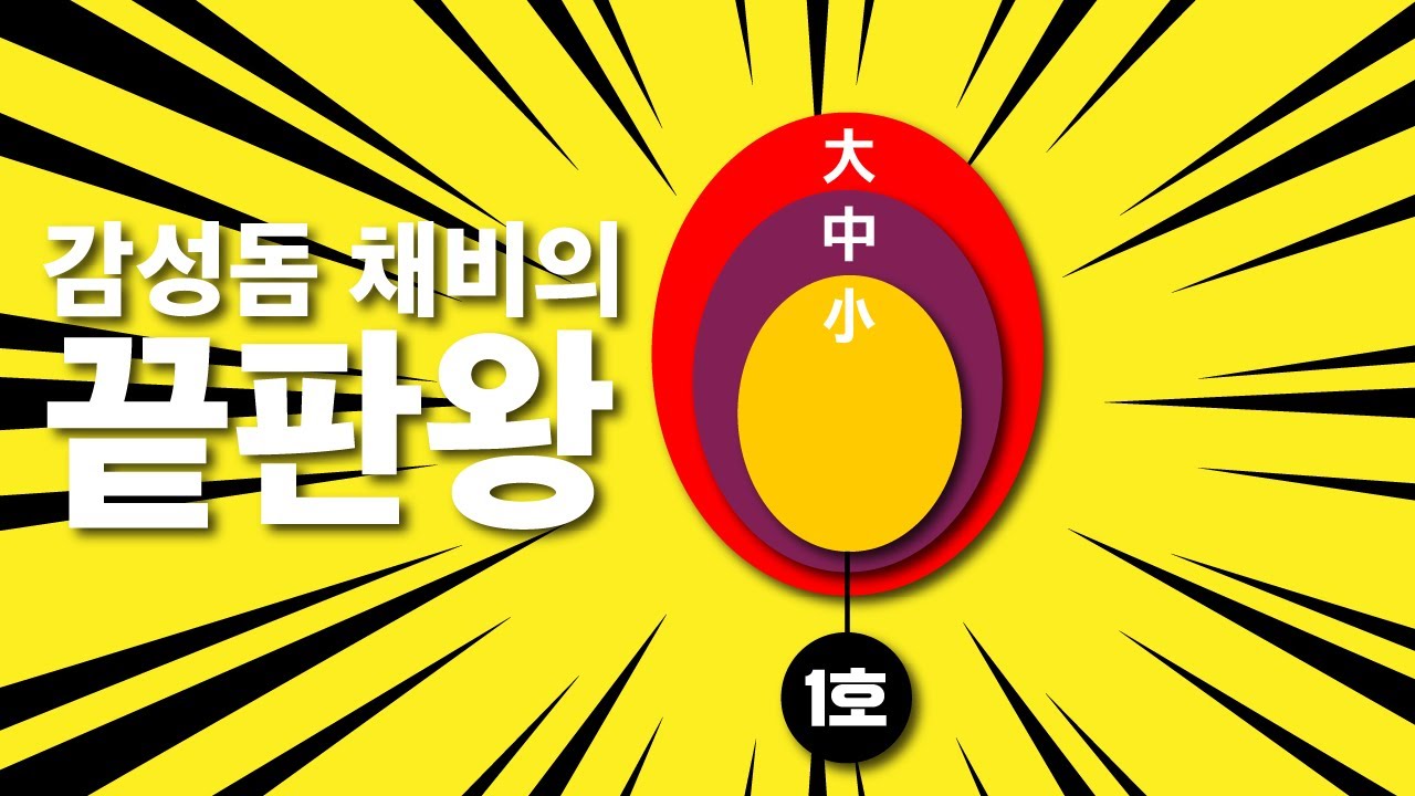 찌 하나로 끝낸다! ... 감성돔 채비의 끝판왕!