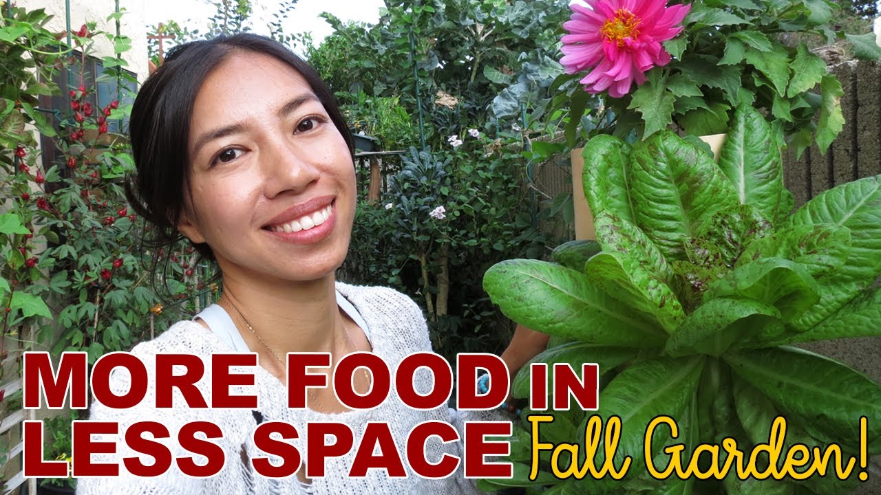 Grow More Food In Less Space -- Fall Garden