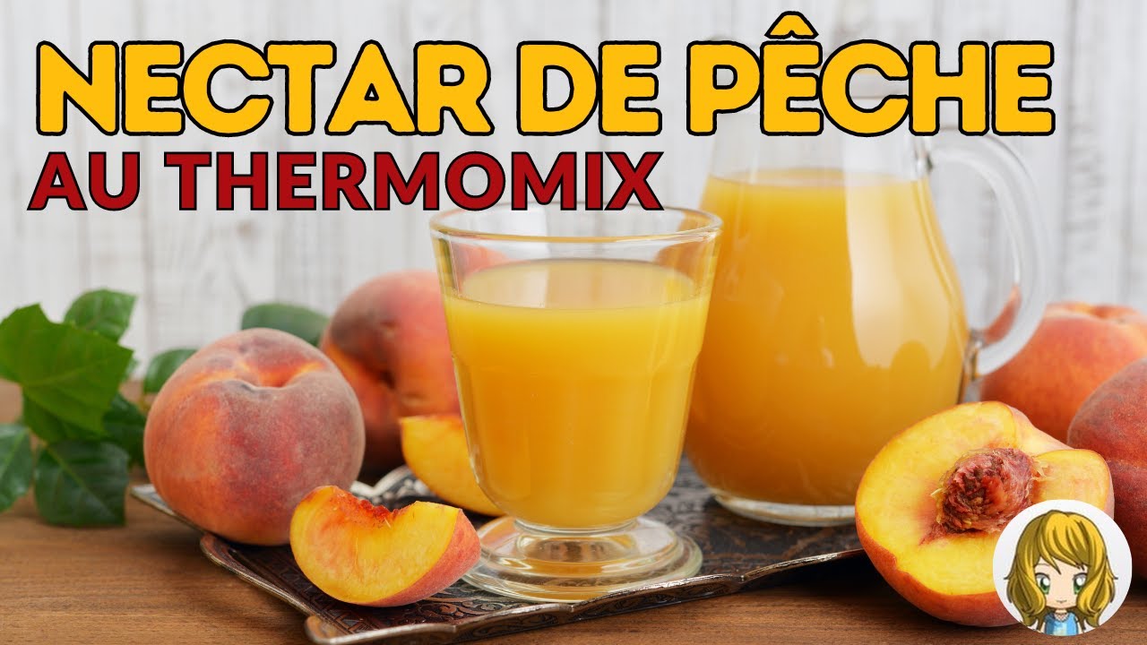 💗 NECTAR ou JUS DE PECHE AU THERMOMIX | une super recette très facile et extra 💗