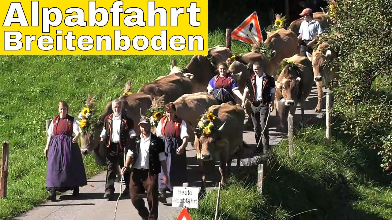 Alpabfahrt Breitenboden 2018