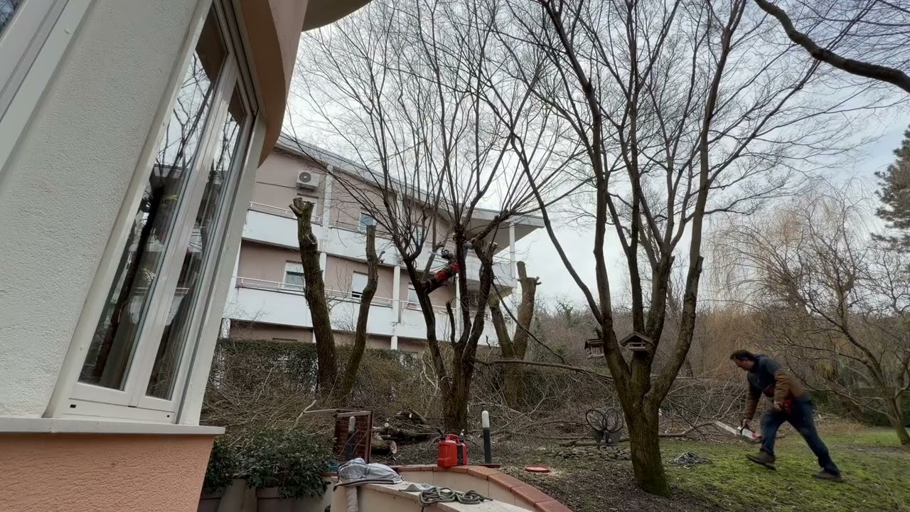 ZIMSKA REZIDBA/SKRAĆIVANJE DRVEĆA